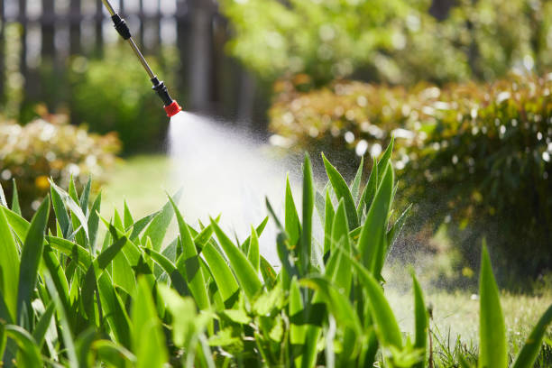 24/7 Emergency Mosquito Control experts in De Leon Springs, FL