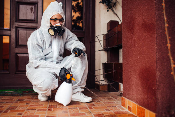 Reliable Mosquito Control contractor in De Leon Springs, FL by Show Me Pest Control